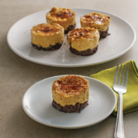 Mini Mochaccino Cheesecakes – Instant Pot Recipes image