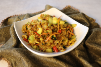 FRIED RICE CURRY RECIPES
