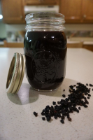 Elderberry Syrup | Simply Green Mama image