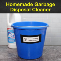 10 Easy Homemade Garbage Disposal Cleaners image