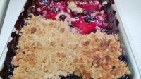 Blueberry Rhubarb Crisp Recipe - Food.com image