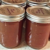 The Best Enchilada Sauce in the World ~ with Canning ... image