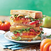 Over-the-Top Tomato Sandwich Recipe | MyRecipes image