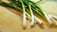 HOW TO CHOP SCALLIONS RECIPES