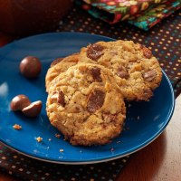 Chocolate Malt Ball Cookies Recipe: How to Make It image