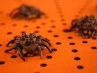Pecan-Caramel Spiders : Recipes : Cooking Channel Recipe ... image