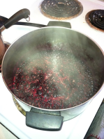 Wild Huckleberry Jam Recipe - Food.com image