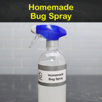 11 Easy Make-Your-Own Bug Spray Recipes image