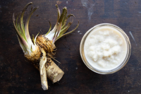 How to harvest and cook with horseradish roots and leaves image
