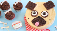 Chocolate-Peanut Butter Pug Cake Recipe - BettyCrocker.com image