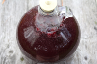 Homemade Pomegranate Wine - Practical Self Reliance image
