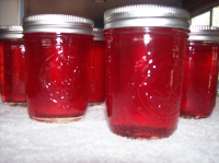 Pomegranate Wine Jelly Recipe - Food.com image