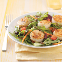 SALAD WITH SCALLOPS RECIPES