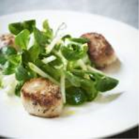 Pan-Fried Scallops with Crunchy Apple Salad Recipe ... image
