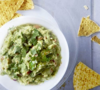 FOOD THAT GOES WITH GUACAMOLE RECIPES