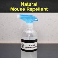 15 Brilliant DIY Mouse Repellents - Tips Bulletin image