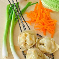 STEAMED WONTONS RECIPES
