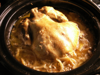 Crock Pot French Onion Chicken Recipe - Food.com image