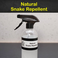 9 Fast & Easy Homemade Snake Repellent Recipes image