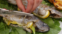 GRILLING WHOLE TROUT RECIPES