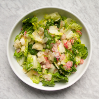 Lettuces with Parmigiano, Radish and Dill Pickle Vinaigrette image