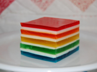 WHAT IS RAINBOW JELLY RECIPES