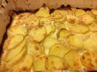 Mad Apples Scalloped Potatoes Recipe - Food.com image
