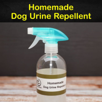 Keeping Dogs Away - 11 Homemade Dog Urine Repellent Tips ... image