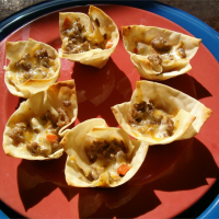 WONTON WRAPPERS NUTRITION INFORMATION RECIPES