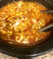 PAM's Spicy Slow Cooker Chicken Tortilla Soup Recipe ... image