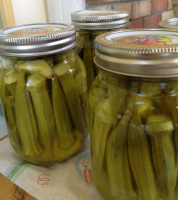 Canning pickled Okra... Ball Blue Book has it perfect ... image