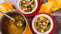 CHINESE HOT SOUP RECIPES