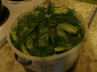 Bucket Dill Pickles | Just A Pinch Recipes image