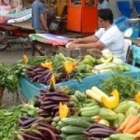 6 Popular Filipino Vegetarian Recipes - Asian Recipe image
