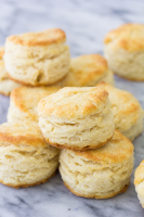 ONE BISCUIT RECIPES