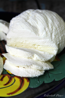 SOFT WHITE MEXICAN CHEESE RECIPES