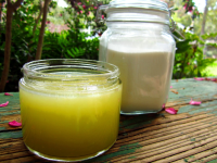 Lemon-Limeade Concentrate Recipe - Food.com image