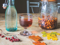 How to make hawthorn gin - Countryfile.com image