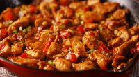 CHINESE KUNG PAO CHICKEN RECIPE RECIPES