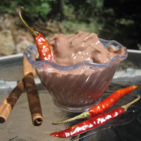 Mexican Chocolate Frozen Yogurt Recipe | Allrecipes image