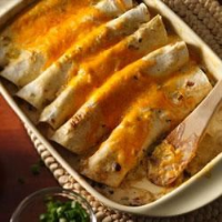 Progresso® Chicken Enchiladas Recipe | Allrecipes image