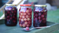 Preserved Cherries Recipe | Allrecipes image