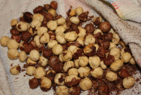 Toasted Hazelnuts Recipe - Food.com image