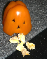 Throwing Up Pumpkin Recipe - tastygalaxy.com image