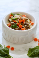 Can Dogs Eat Rice? Is It Safe? 3 Best DIY Recipes Included! image