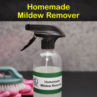 11 Make-Your-Own Mildew Remover Recipes image