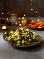 BRUSSELS SPROUTS FIBER RECIPES