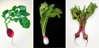 Braised Turnips and Radishes Recipe - NYT Cooking image