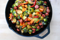 BRUSSEL SPROUTS FOR DOGS RECIPES