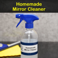 6 Simple DIY Mirror Cleaner Recipes image